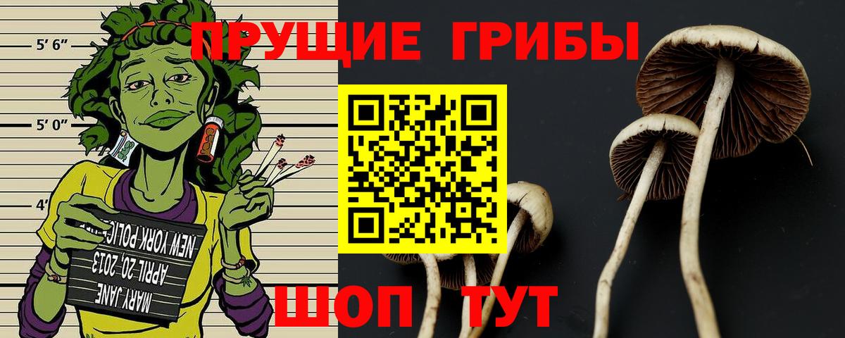 Азов  Галлюциногенные грибы GOLDEN TEACHER  продажа наркотиков  Вход с VPN  Галлюциногенные грибы Psilocybine cubensis 