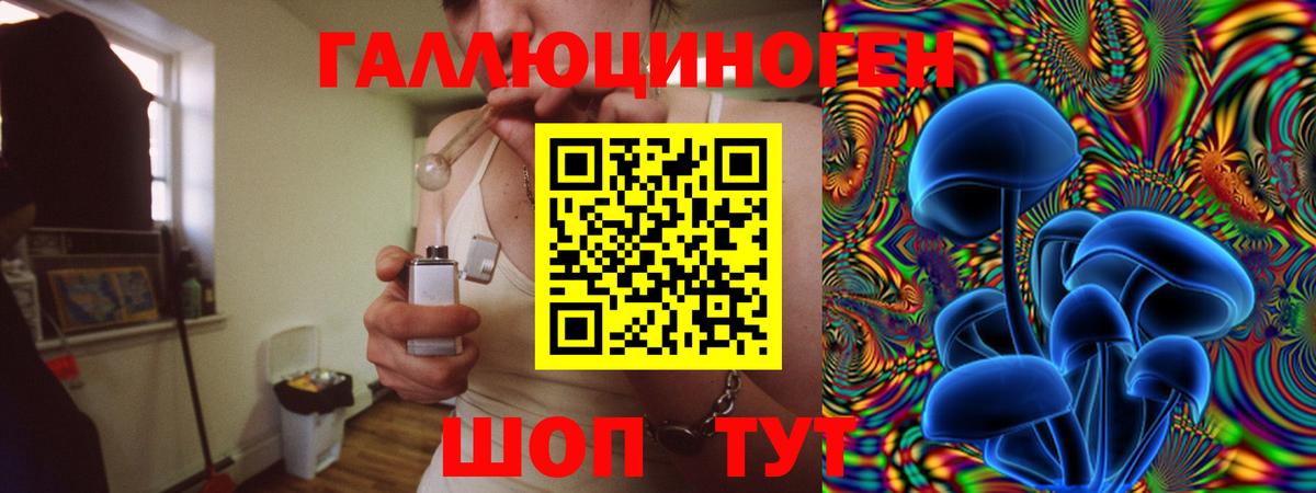 Псилоцибиновые грибы Psilocybe Азов